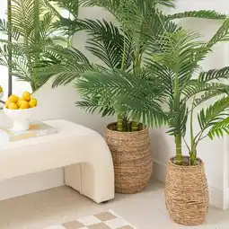 Pillow Talk Otis Basket Planter by M.U.S.E offer