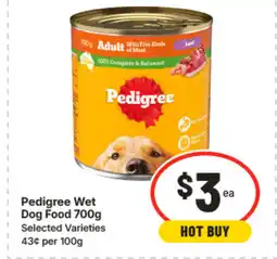 IGA Pedigree Wet Dog Food 700g offer