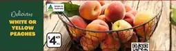Foodworks Delicious white or yellow peaches offer