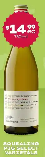 Thirsty Camel Squealing pig select varietals offer