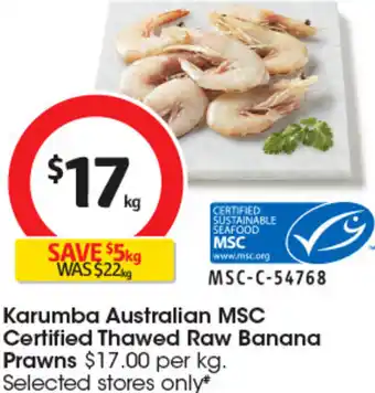Karumba Australian MSC Certified Thawed Raw Banana Prawns