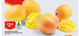 ALDI Australian honey gold or kensington pride mangoes offer