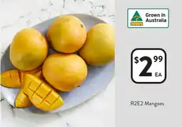 Foodworks R2e2 mangoes offer