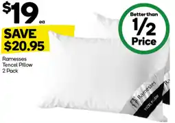 Woolworths Ramesses Tencel Pillow offer