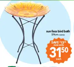 Cheap as Chips Sun face bird bath offer
