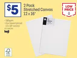 Officeworks stretched canvas offer