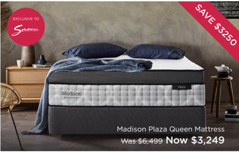 Madison Plaza Queen Mattress