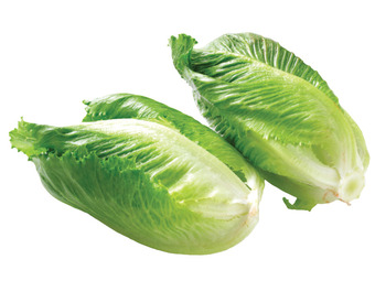 Foodland Baby cos lettuce twin pack offer