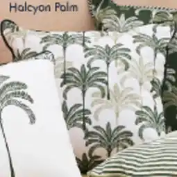 Pillow Talk Halcyon Palm offer