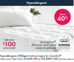 Pillow Talk Hypoallergenic mattress topper offer