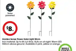 Coles Garden sense flower solar light 50cm offer