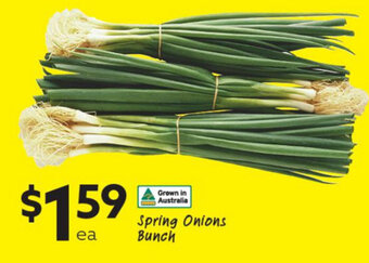 Ritchies Spring Onions Bunch offer
