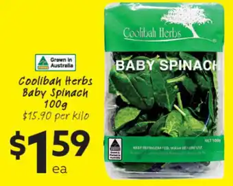 Coolibah Herb Baby Spinach
