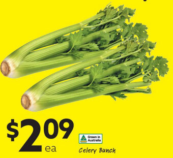 Ritchies Celery Bunch offer