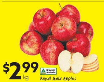 Ritchies Royal Gala Apples offer