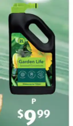 ALDI Seaweed concentrate offer