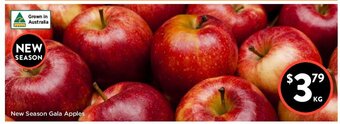 Foodworks New Season Gala Apples offer