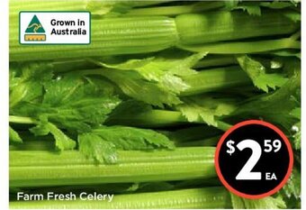 Foodworks Farm Fresh Celery offer