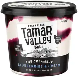 IGA Tamar Valley Greek Style Yoghurt Selected Varieties offer
