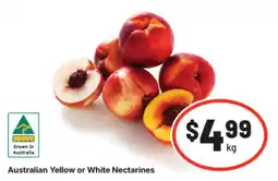 IGA Australian Yellow or White Nectarines offer