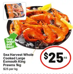 IGA Sea harvest whole cooked large exmouth king prawns offer