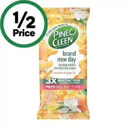 Woolworths Pine O Cleen Brand New Day Wipes offer