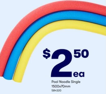 BIG W Pool Noodle Single 1500x70mm offer