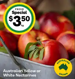 Woolworths Australian yellow or white nectarines offer