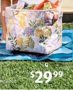 ALDI Pull-Along Picnic Cooler offer