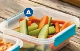 Foodland Décor fresh seal clips square container offer