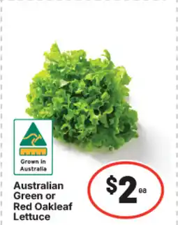 IGA Australian green or red oakleaf lettuce offer