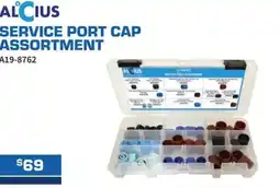 Burson Auto Parts Service port cap assortment offer