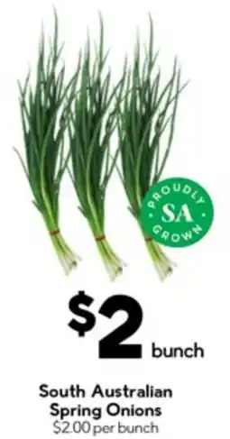 Drakes South australian drakes washed potatoes offer