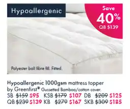 Pillow Talk Hypoallergenic offer