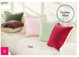 Pillow Talk Cleo reversible velvet feather offer