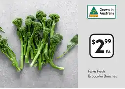 Foodworks Farm Fresh Broccolini Bunches offer