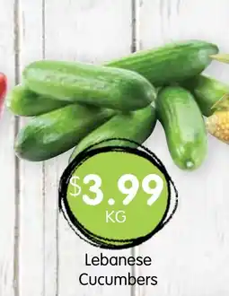 Spudshed Lebanese Cucumbers offer