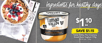Drakes Tamar Valley The Creamery Greek Style Yoghurt 170g offer