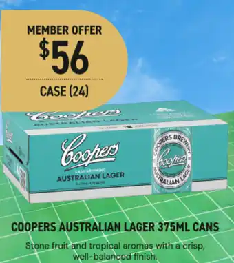 Dan Murphy's Coopers australian lager offer