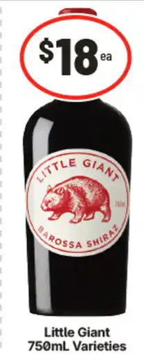 IGA Little Giant offer