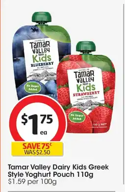 Coles Tamar valley dairy kids greek style yoghurt pouch offer