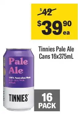 Coles Tinnies Pale Ale Can offer