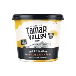 Woolworths Tamar Valley Creamery Yoghurt offer