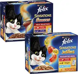 Coles Felix Cat Food offer