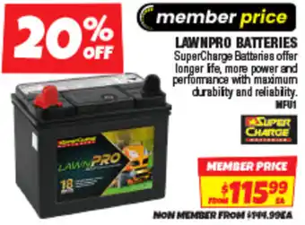 Lawnpro batteries