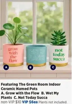 Spotlight The Green Room Indoor Ceramic Named Pots offer