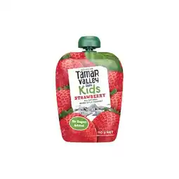 Woolworths Tamar Valley Kids Yoghurt Pouch – From the Fridge offer