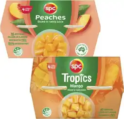 Coles SPC Fruit Snack Cup offer