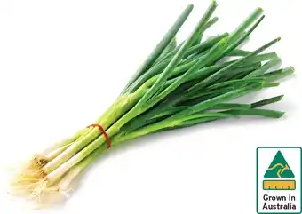 IGA Eschallots / Spring Onion Bunch offer