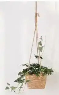 Kmart Artificial Zebrina in Hanging Pot offer